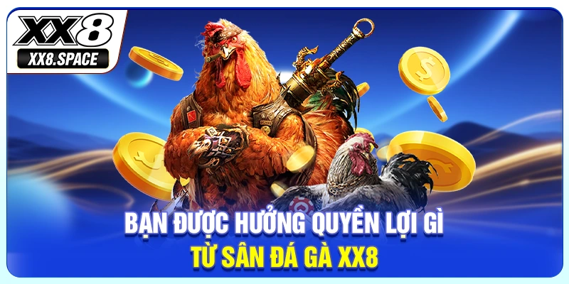 Bạn được hưởng quyền lợi gì từ sân đá gà XX8