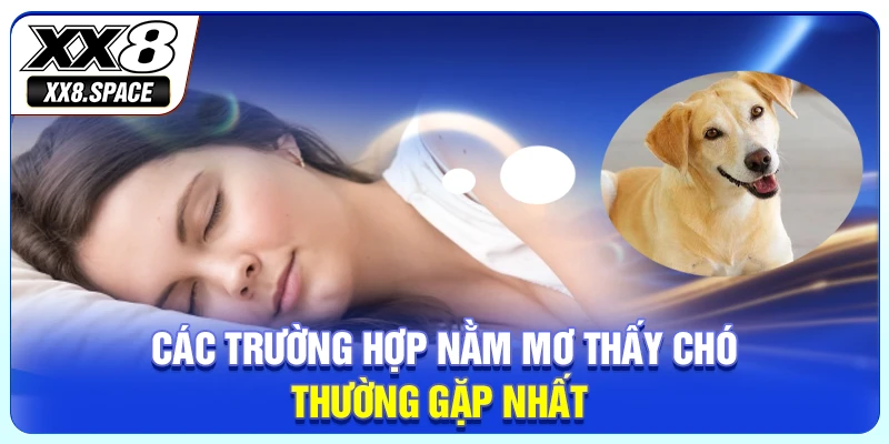 Các trường hợp nằm mơ thấy chó thường gặp nhất 