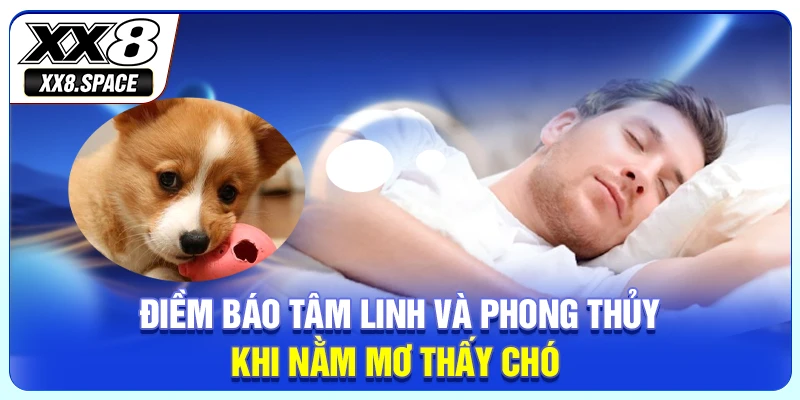 Điềm báo tâm linh và phong thủy khi nằm mơ thấy chó 