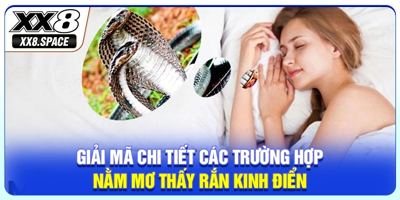 Giải mã chi tiết các trường hợp nằm mơ thấy rắn kinh điển