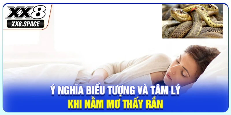 Ý nghĩa biểu tượng và tâm lý khi nằm mơ thấy rắn